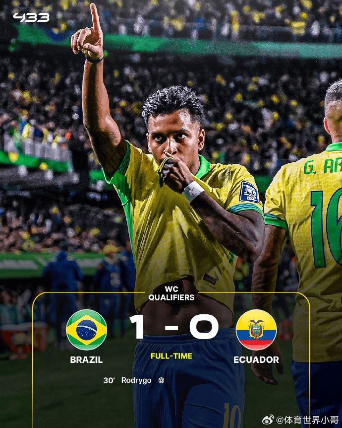 厄瓜多尔队在美洲杯比赛中遭遇连败 厄瓜多尔队在美洲杯比赛中遭遇连败