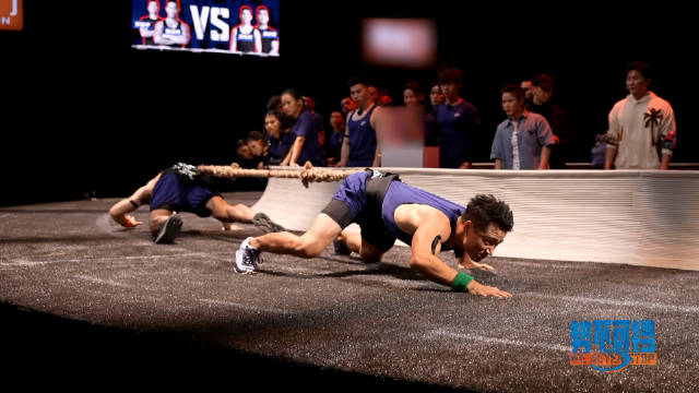 纵横赛场:游泳选手势不可挡 纵横赛场:游泳选手势不可挡