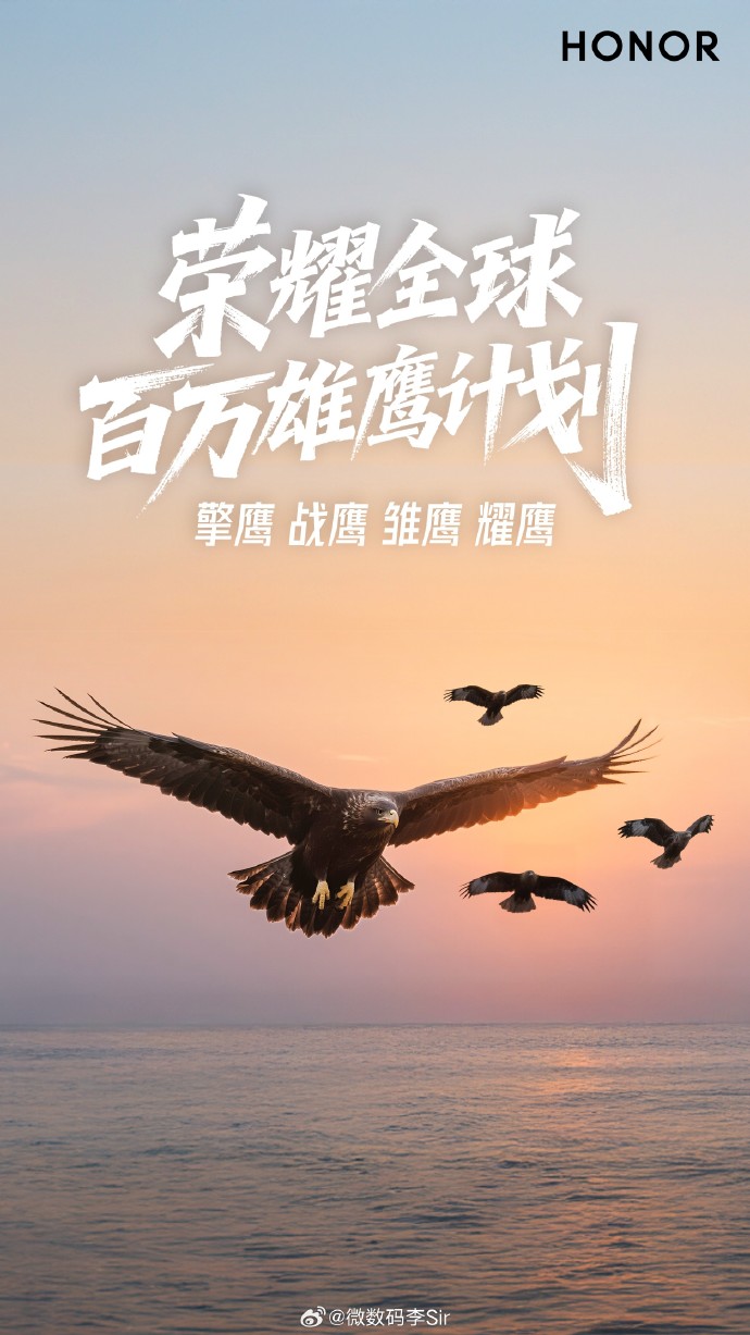 队伍经过努力训练,终于荣耀登顶 队伍经过努力训练,终于荣耀登顶